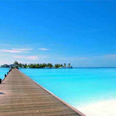 一码一肖100准资料应用下载手机版